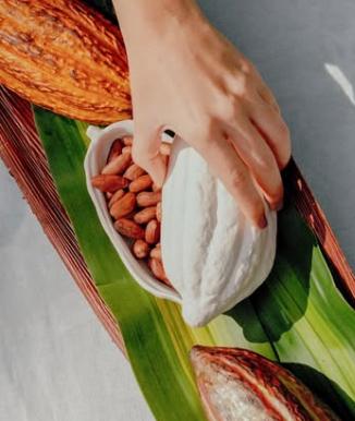 Cacao en cerámica con choco pistachos