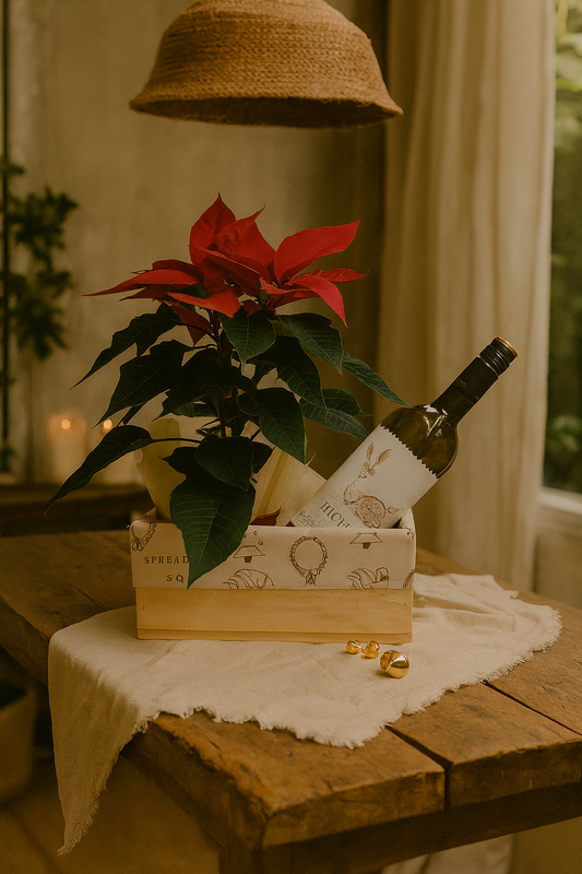 Alegria Navideña- Poinsettia con Vino o Lambrusco