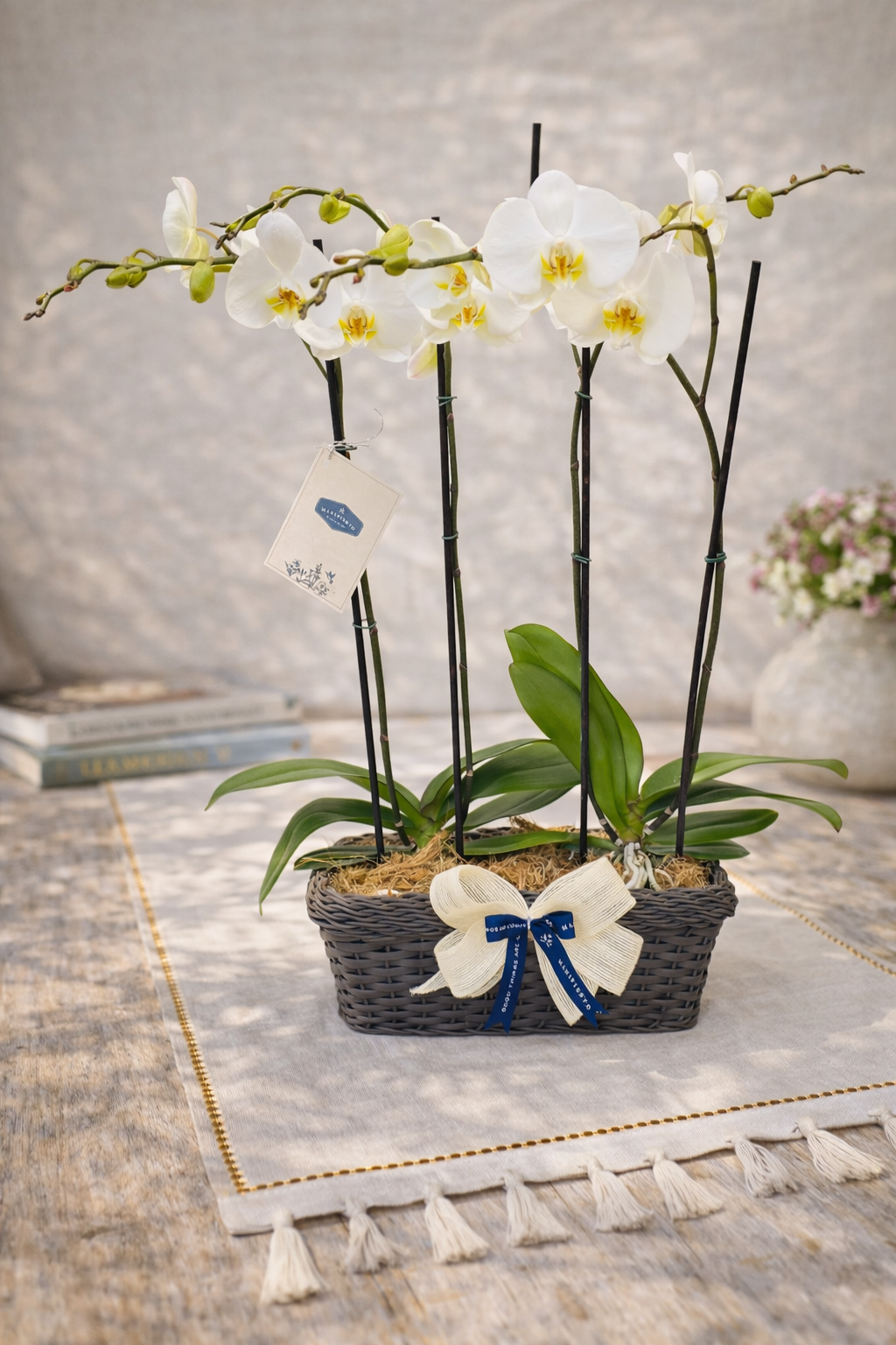 Arreglo con dos Orquídeas Phalenopsis Doble Vara |Regalo Especial