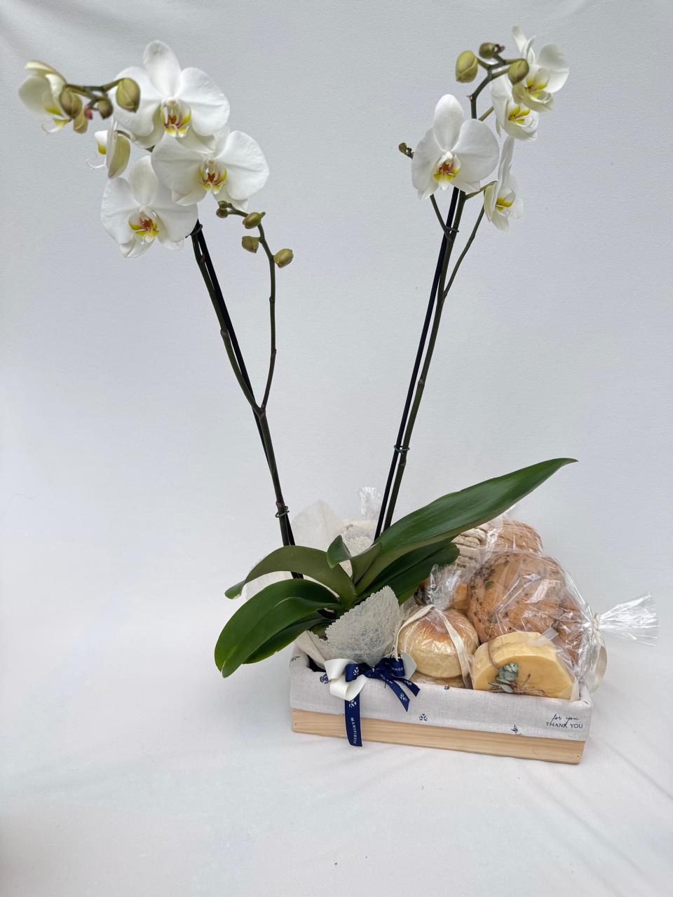 Felicidad Orquídea 2 - ancheta con panes, queso y orquídea