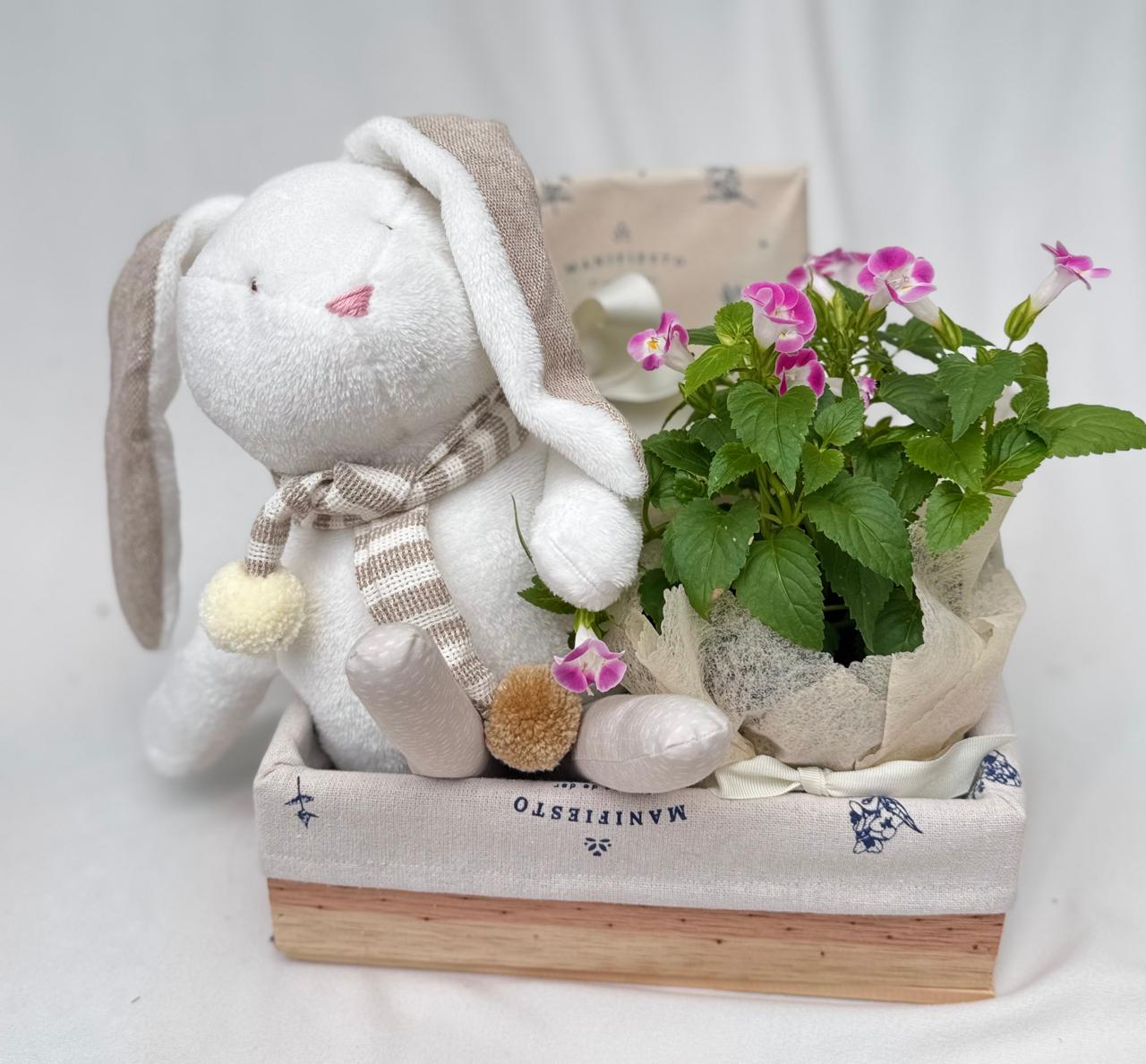 Baby Baskets: Escoge de Nuestros Guacales con Muñecos y Otros Opcionales