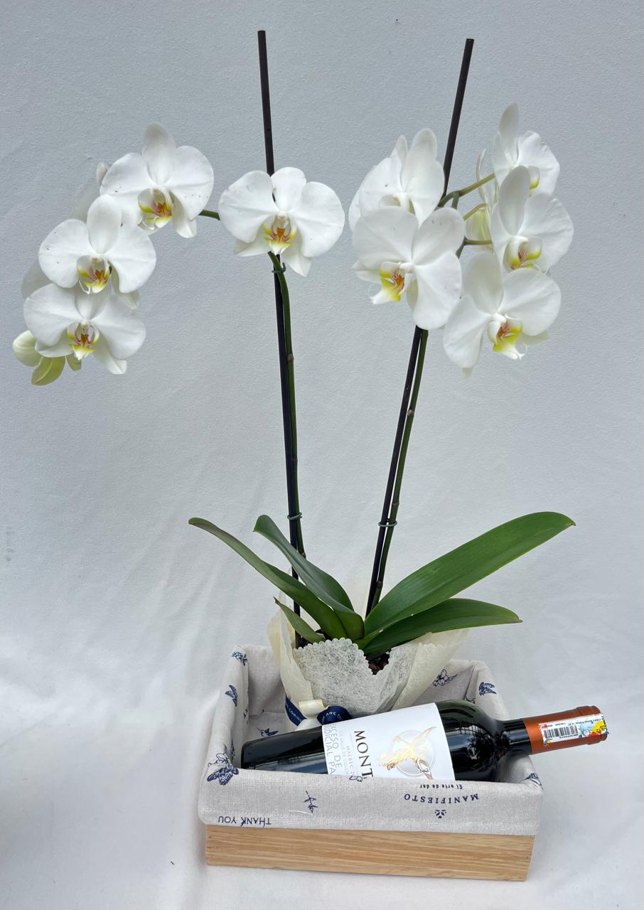 Celebrar- Vino con orquídea