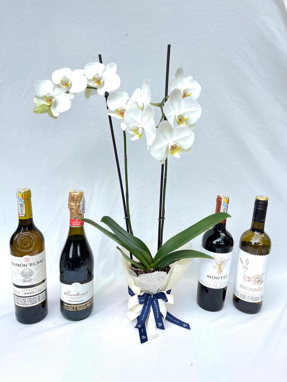 Celebrar- Vino con orquídea