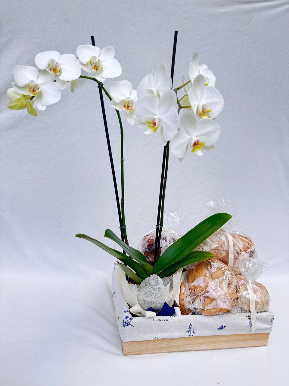 Felicidad Orquídea 2 - ancheta con panes y orquídea