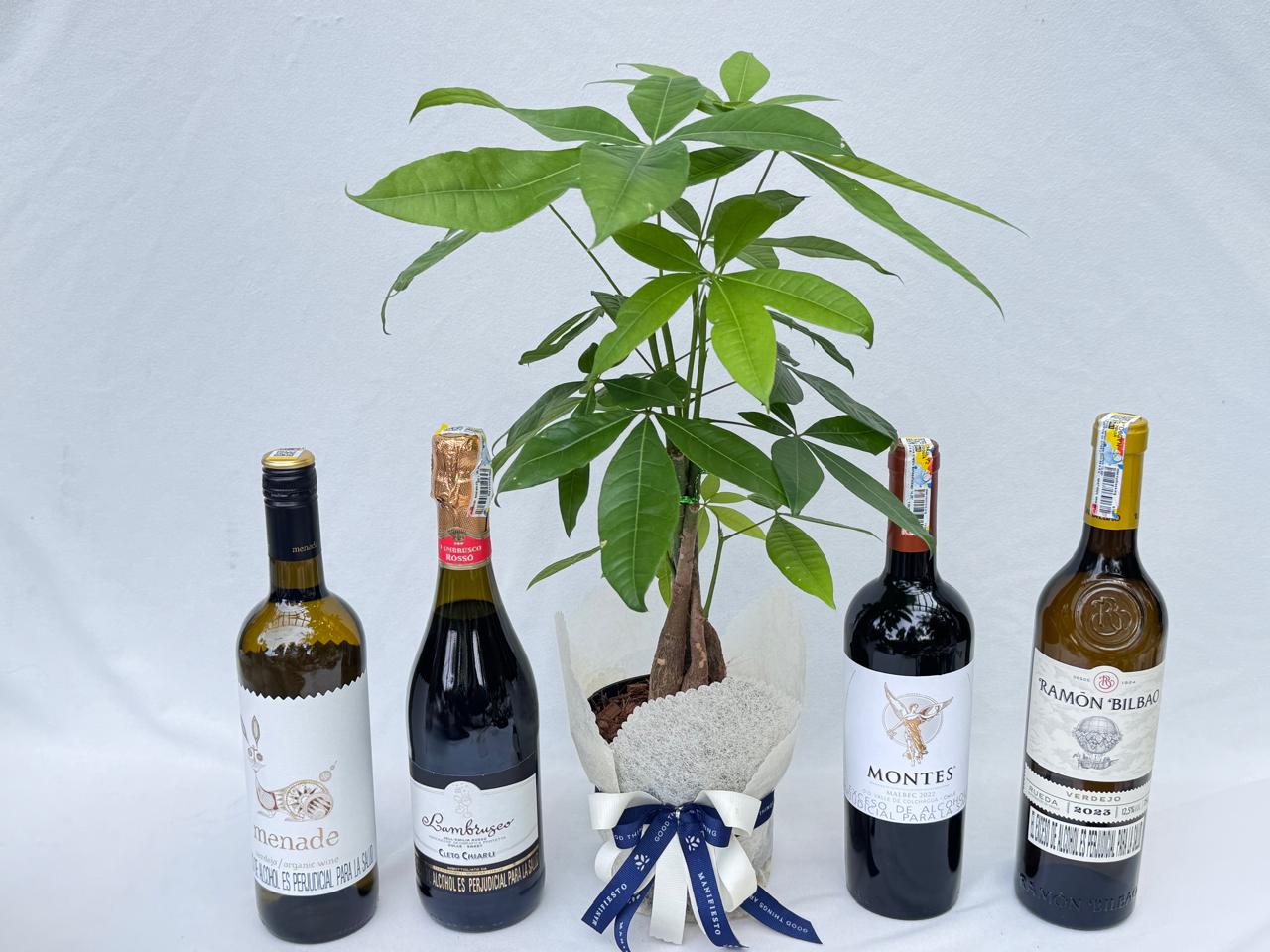 Celebrar buenos deseos- Pachira con vino