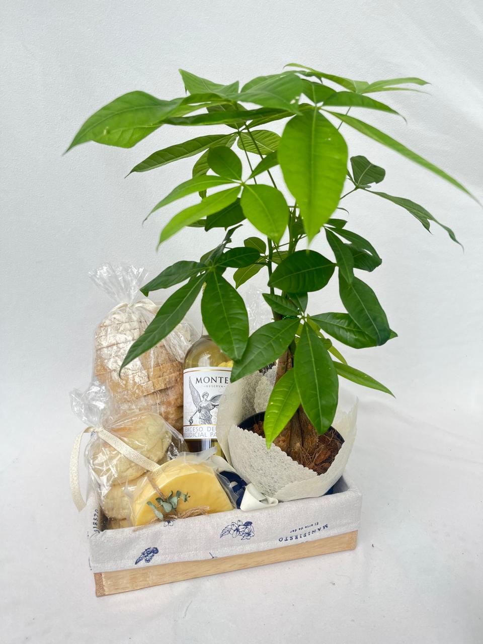 ancheta con Planta, dos quesos, mini granola, panes artesanales y un vino