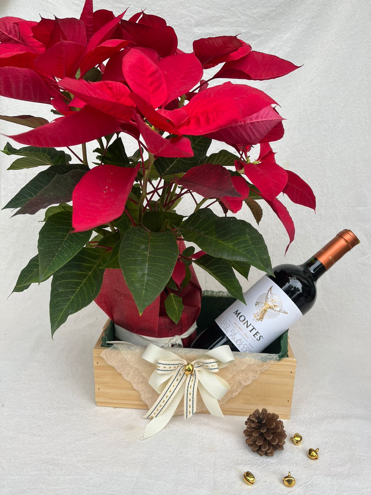 Alegria Navideña- Poinsettia con Vino o Lambrusco