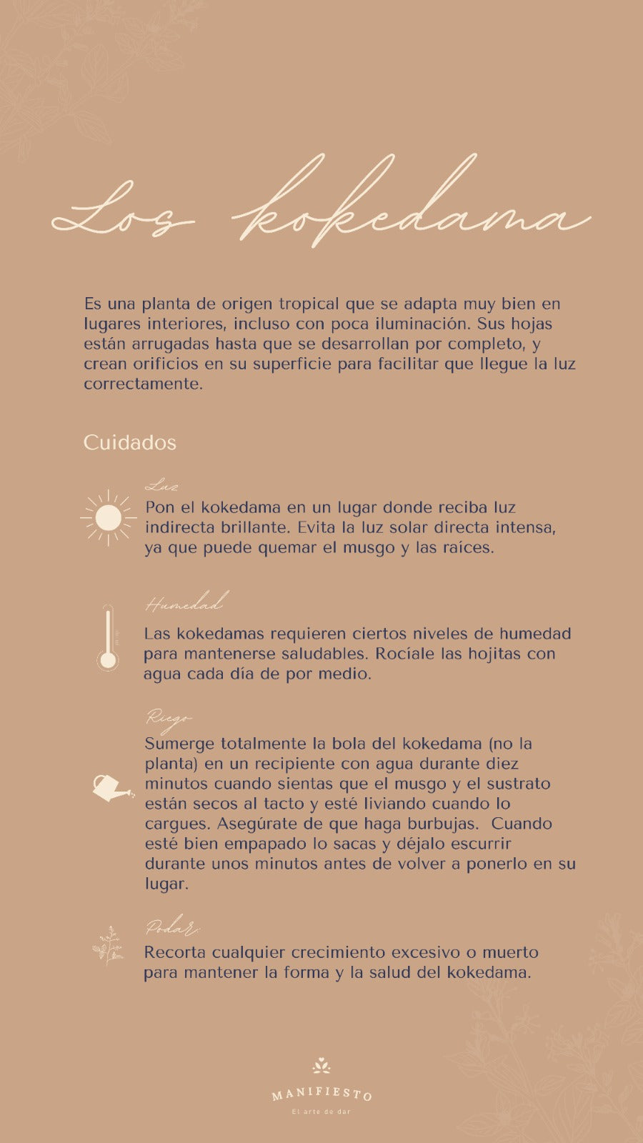 Koke – Arte Japonés de Kokedama en Base de Piedra