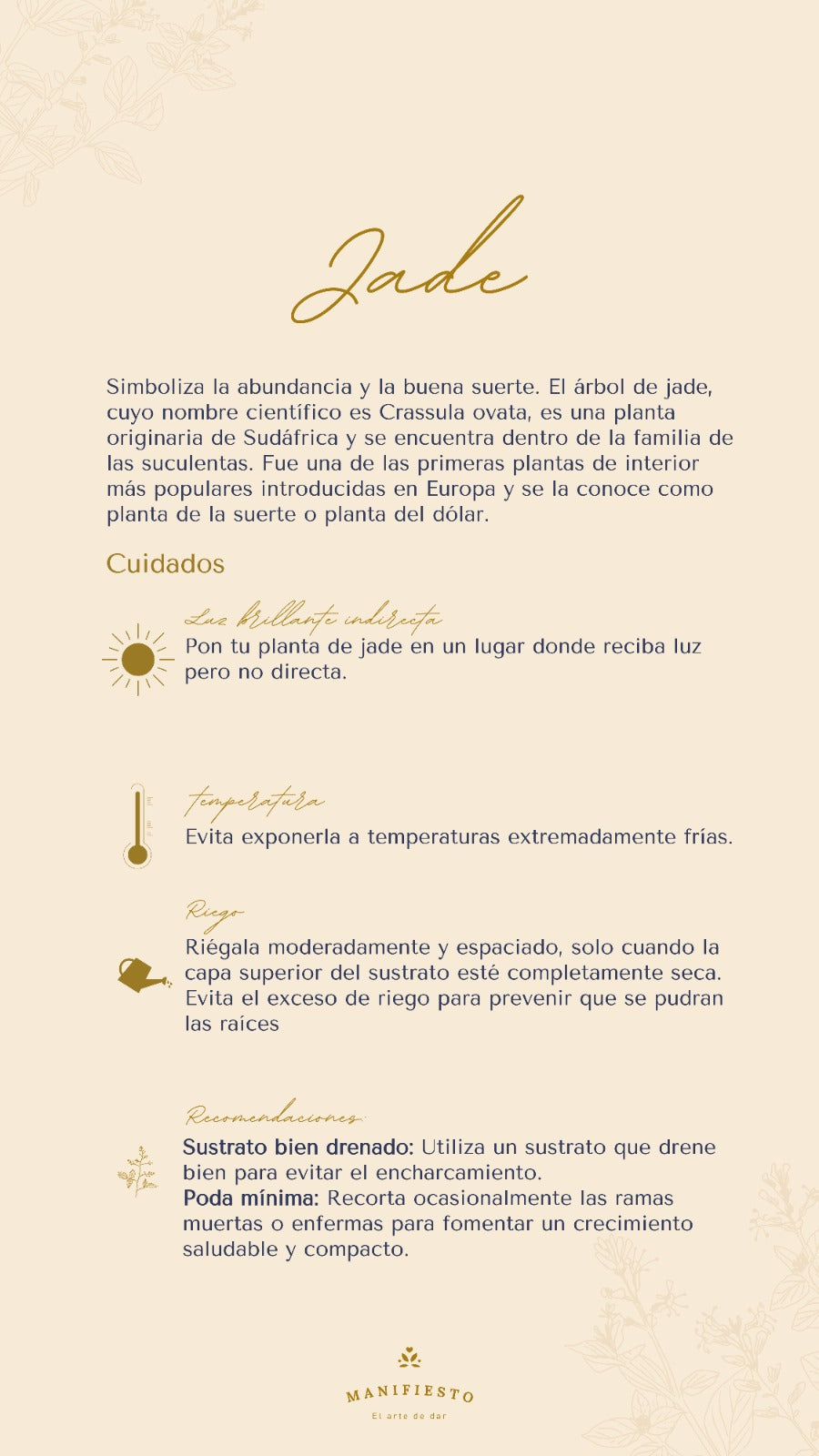 Jade en base madera| Planta de la prosperidad
