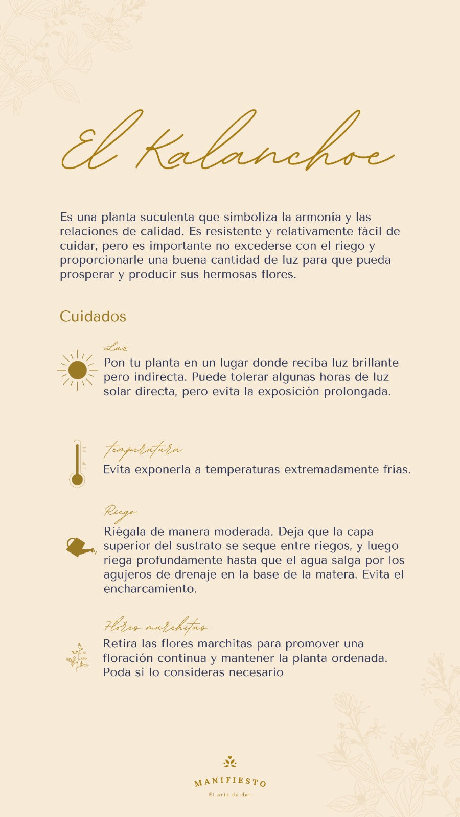 Florecitas|en matera