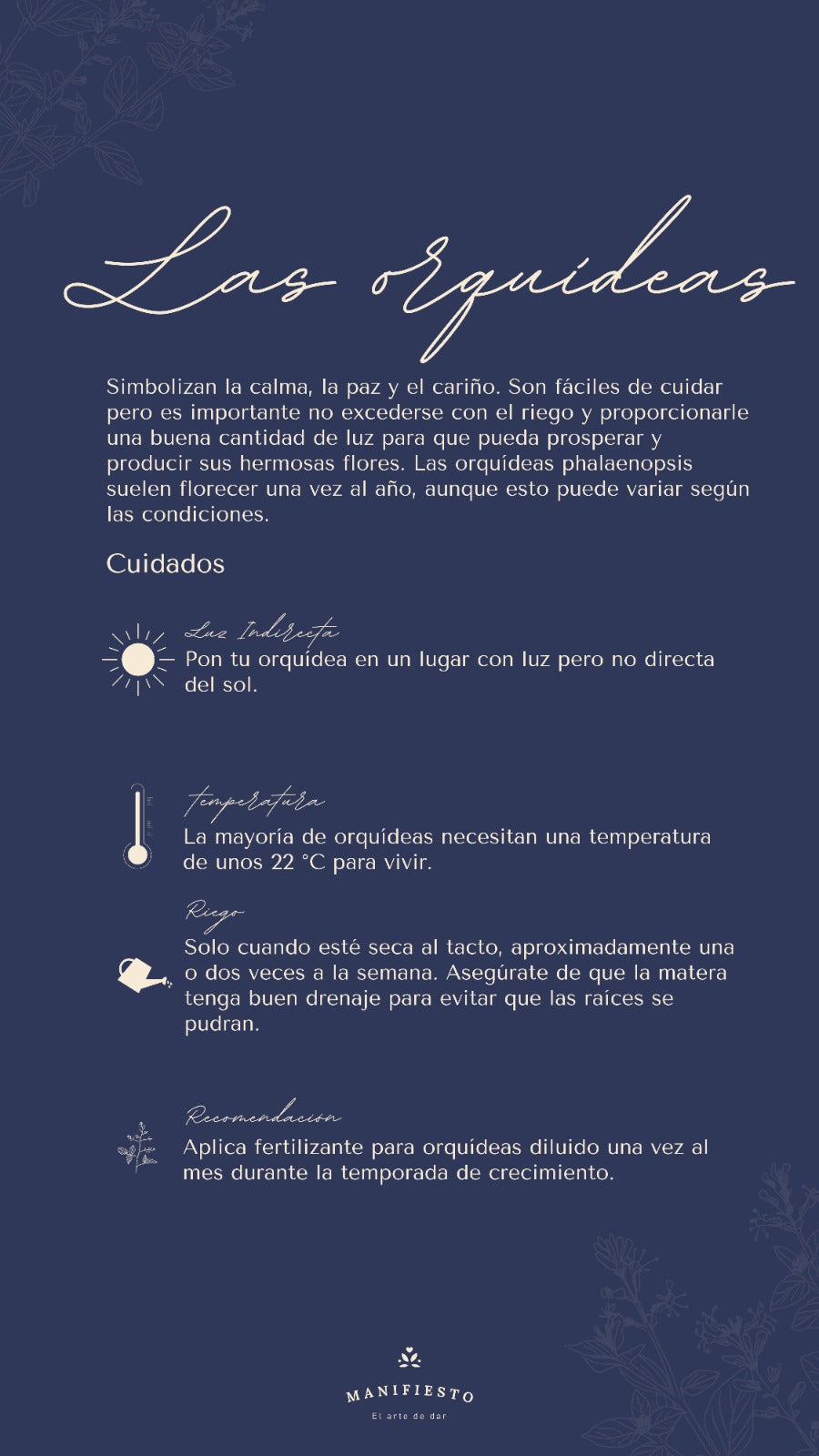 Canasta en globo con fibra artesanal con dos orquídeas