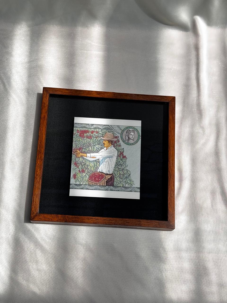 Recolectores café | Orgullo colombiano