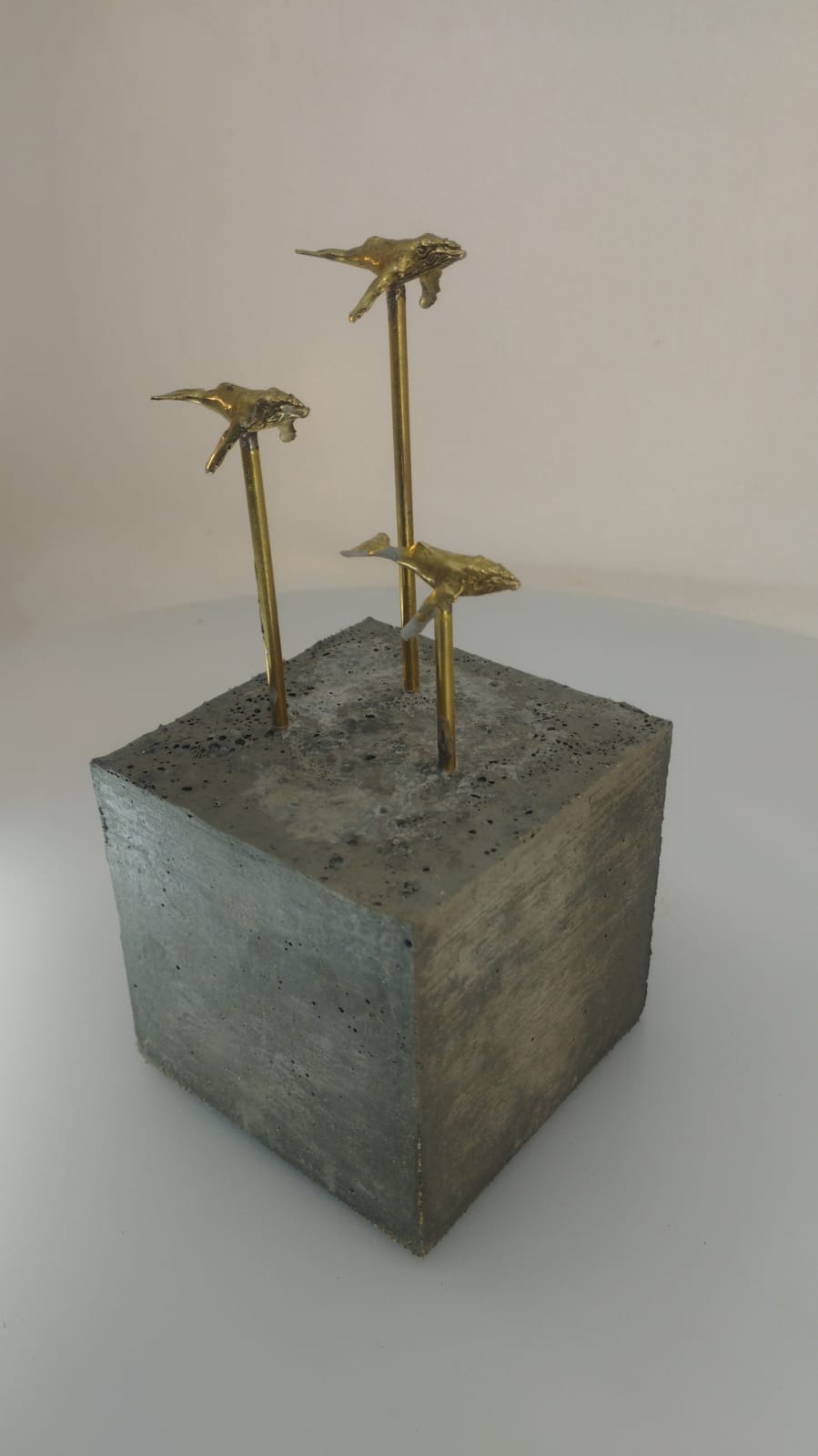 Ballenas navegando juntas