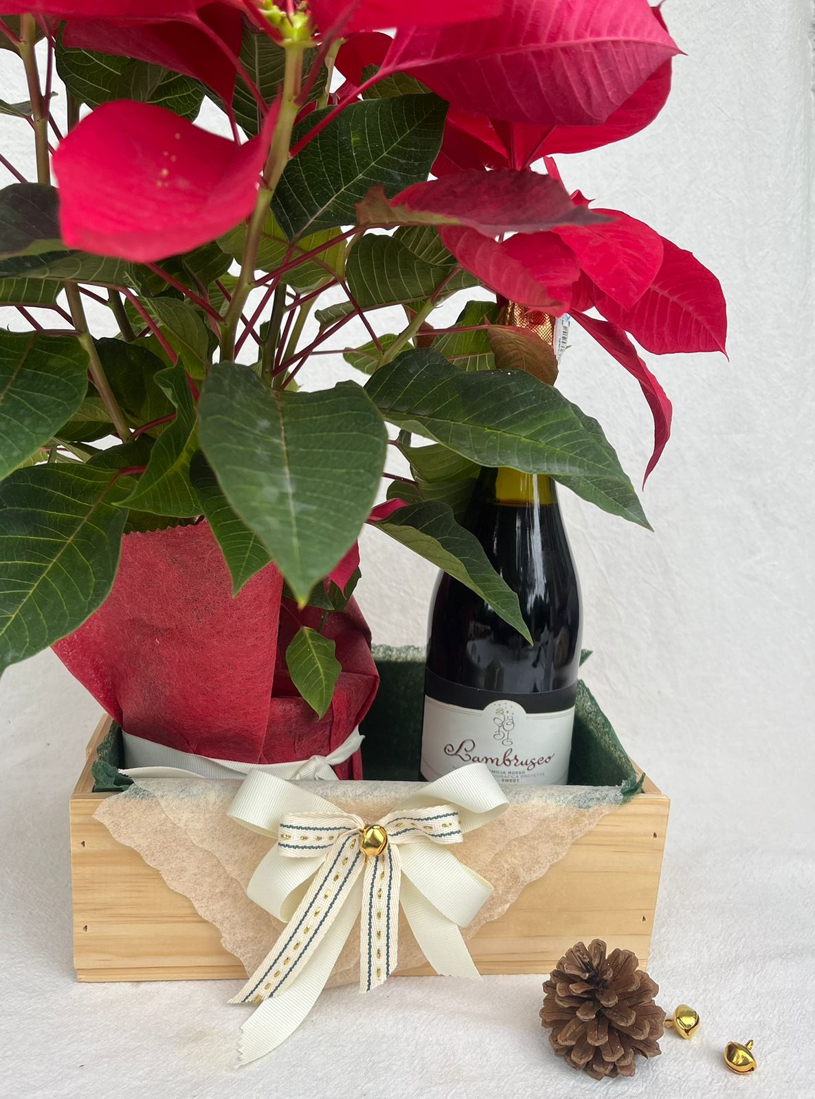 Alegria Navideña- Poinsettia con Vino o Lambrusco