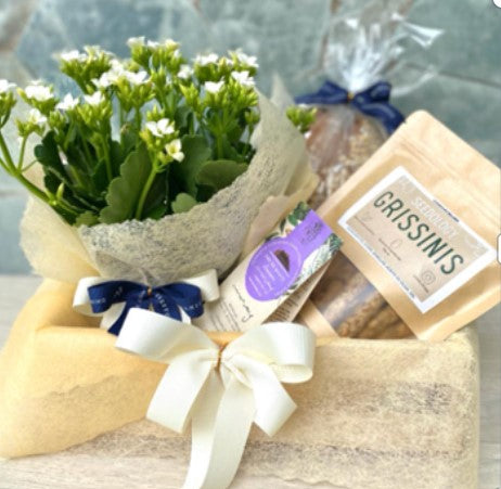 Calma y gratitud |Planta, crackers, tes y planta