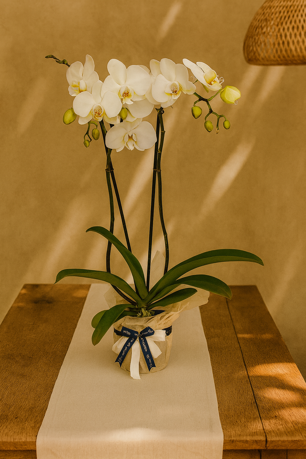 orquidea suprema