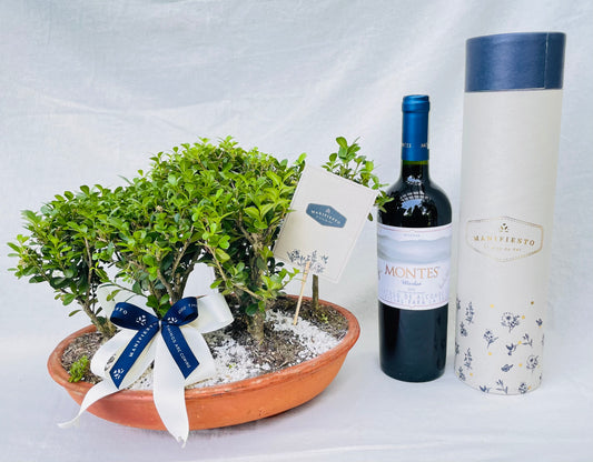 bonsai con vino