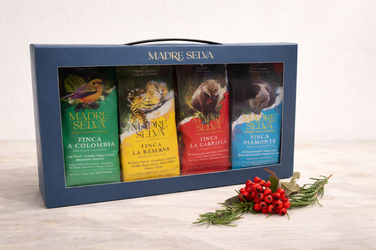 Set de cata de cafés | Set de cuatro Cafés Artesanales – 70 g c/u
