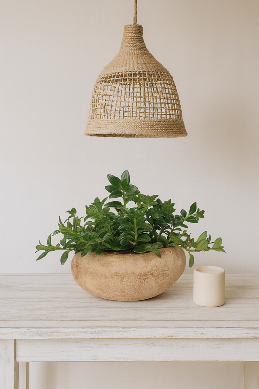 Planta en materitas rústica