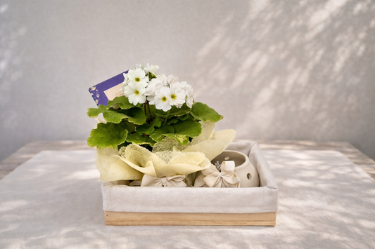Farolito con florecitas