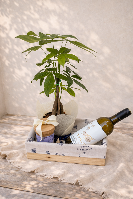 Celebrar buenos deseos 2- Pachira, brownies y vino