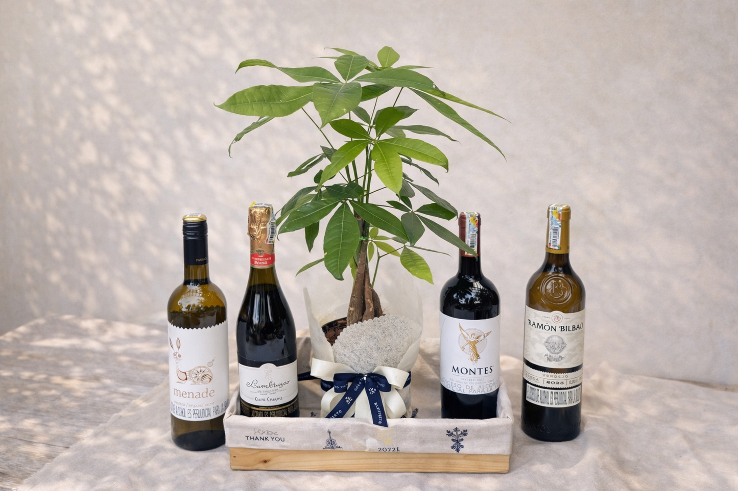 Celebrar buenos deseos- Pachira con vino