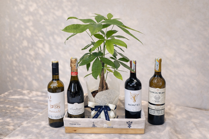 Celebrar buenos deseos- Pachira con vino