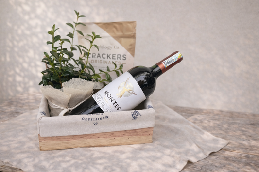 Gracias 3- Ancheta con vino, planta y crackers