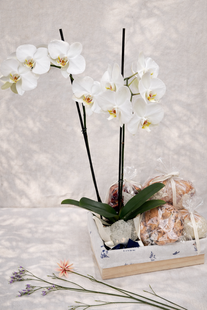 Felicidad Orquídea 2 - ancheta con panes y orquídea