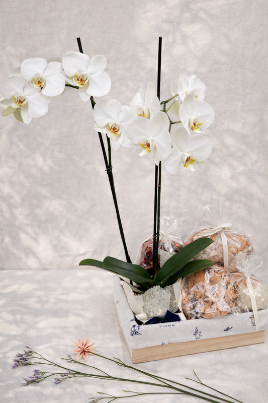 Felicidad Orquídea 2 - ancheta con panes y orquídea