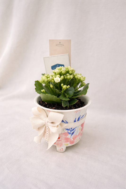 Matera Artesanal con Florecitas – Diseño de Alado & Co, Regalo con Propósito