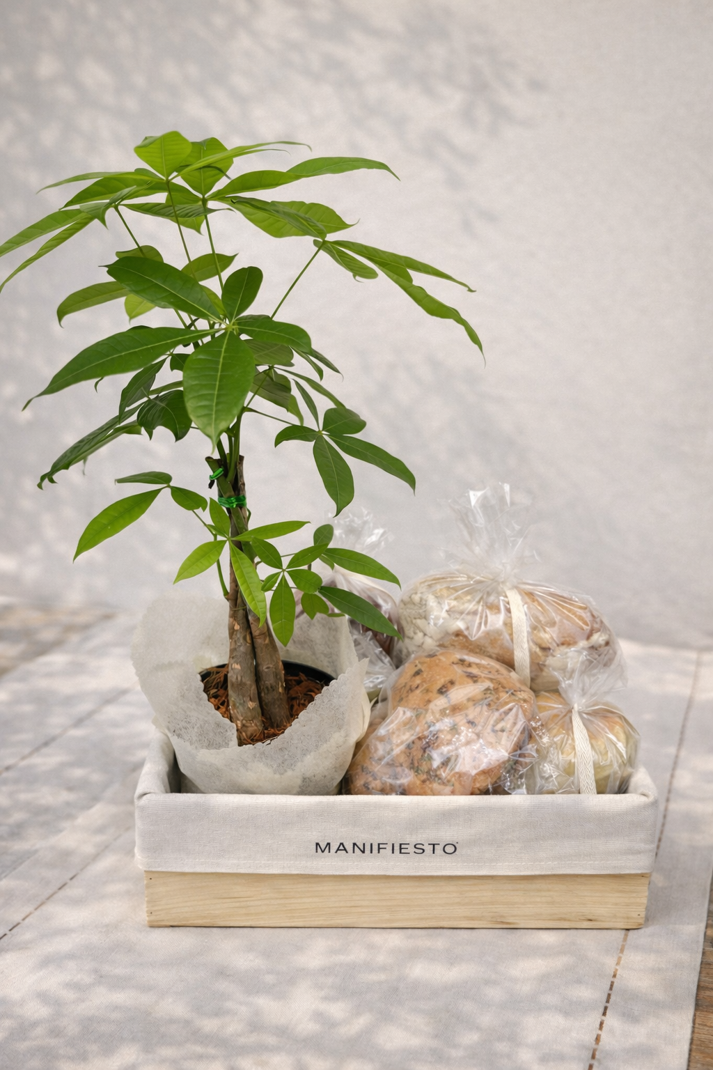 Felicidad-  Planta prosperidad y panes