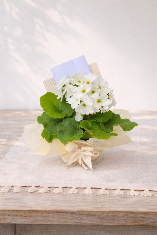 flroecitas sencillas en matero