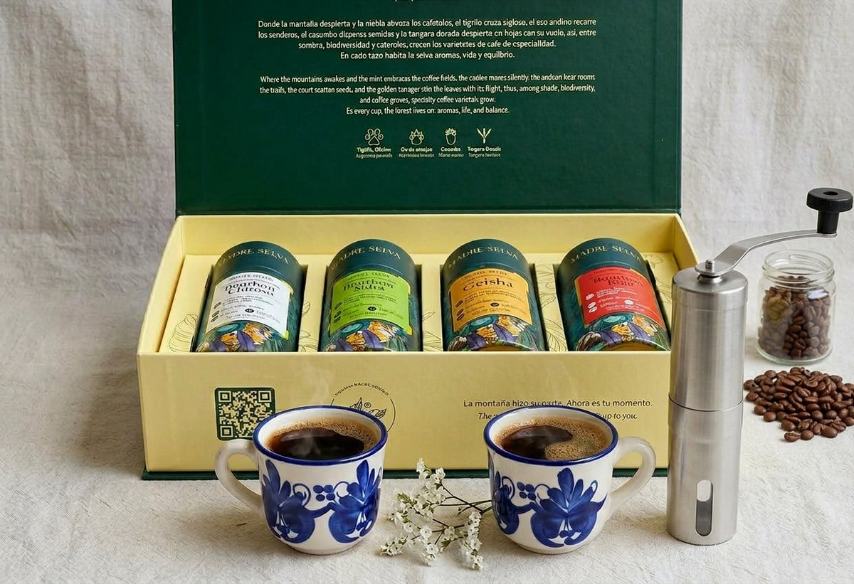 Corporativo | Cata de café premium