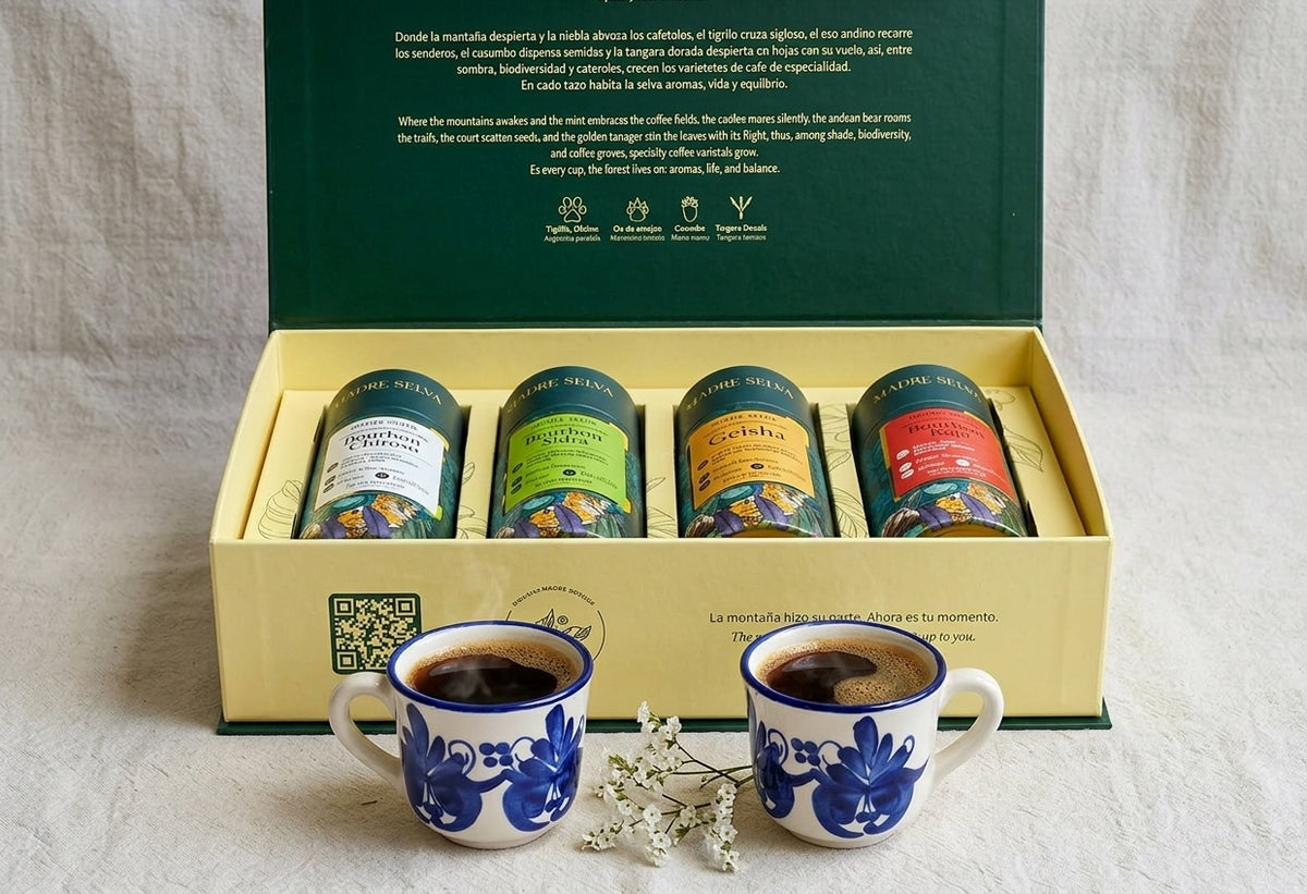 Corporativo | Cata de café premium