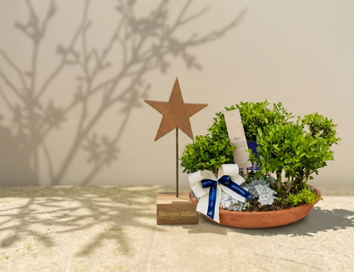 Siempre Brillas - Estrella de madera