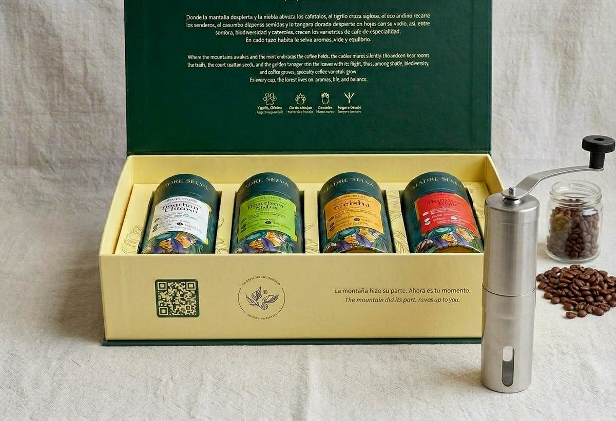 Corporativo | Cata de café premium