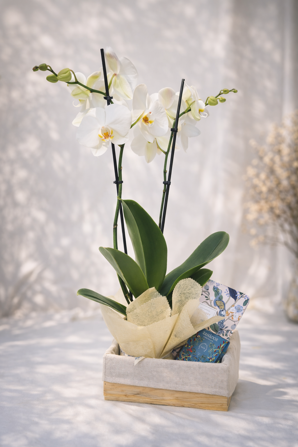 Orquideas y libreta Rifle Paper Co.- Alianza Madres