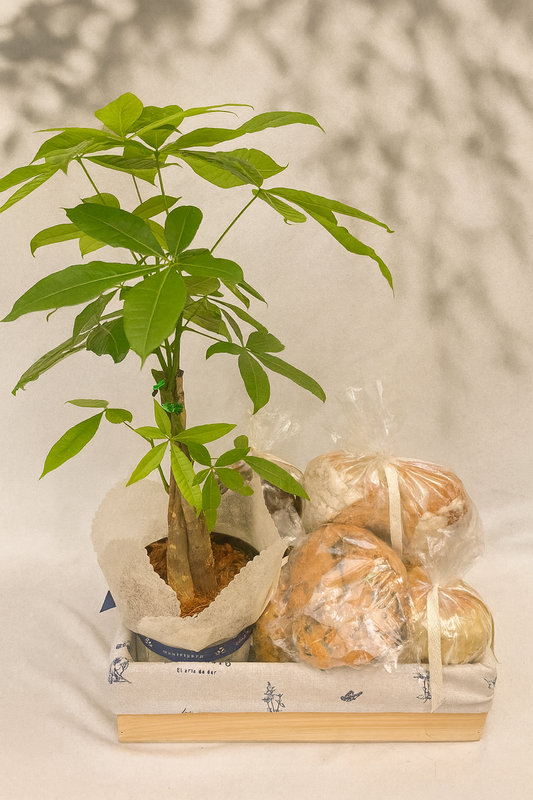 Felicidad-  Planta prosperidad y panes