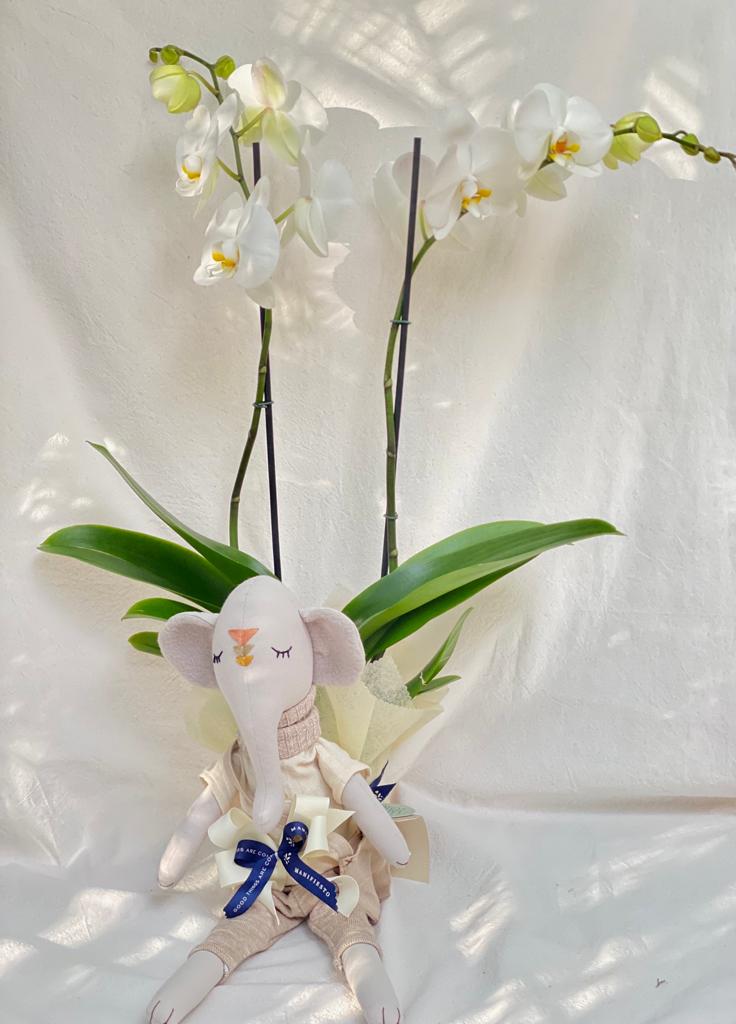 Orquídea con muñeco artesanal | Para nacimientos