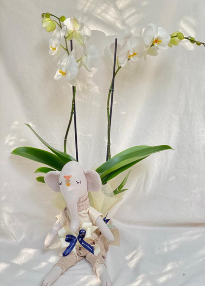Orquídea con muñeco artesanal | Para nacimientos