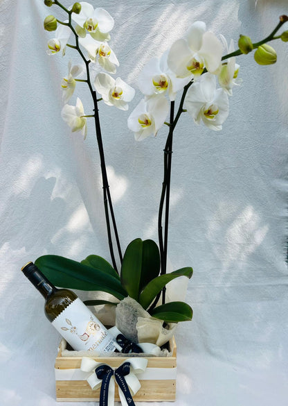 Celebrar- Vino con orquídea