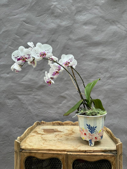 Matera Artesanal flores  + Orquídea | Diseño Local y Solidario