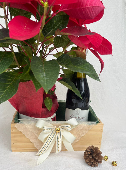 Alegria Navideña- Poinsettia con Vino o Lambrusco