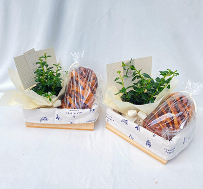 Pan de trenza con planta