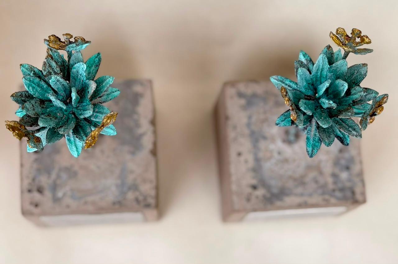 Obra Frailejón mediano con placa