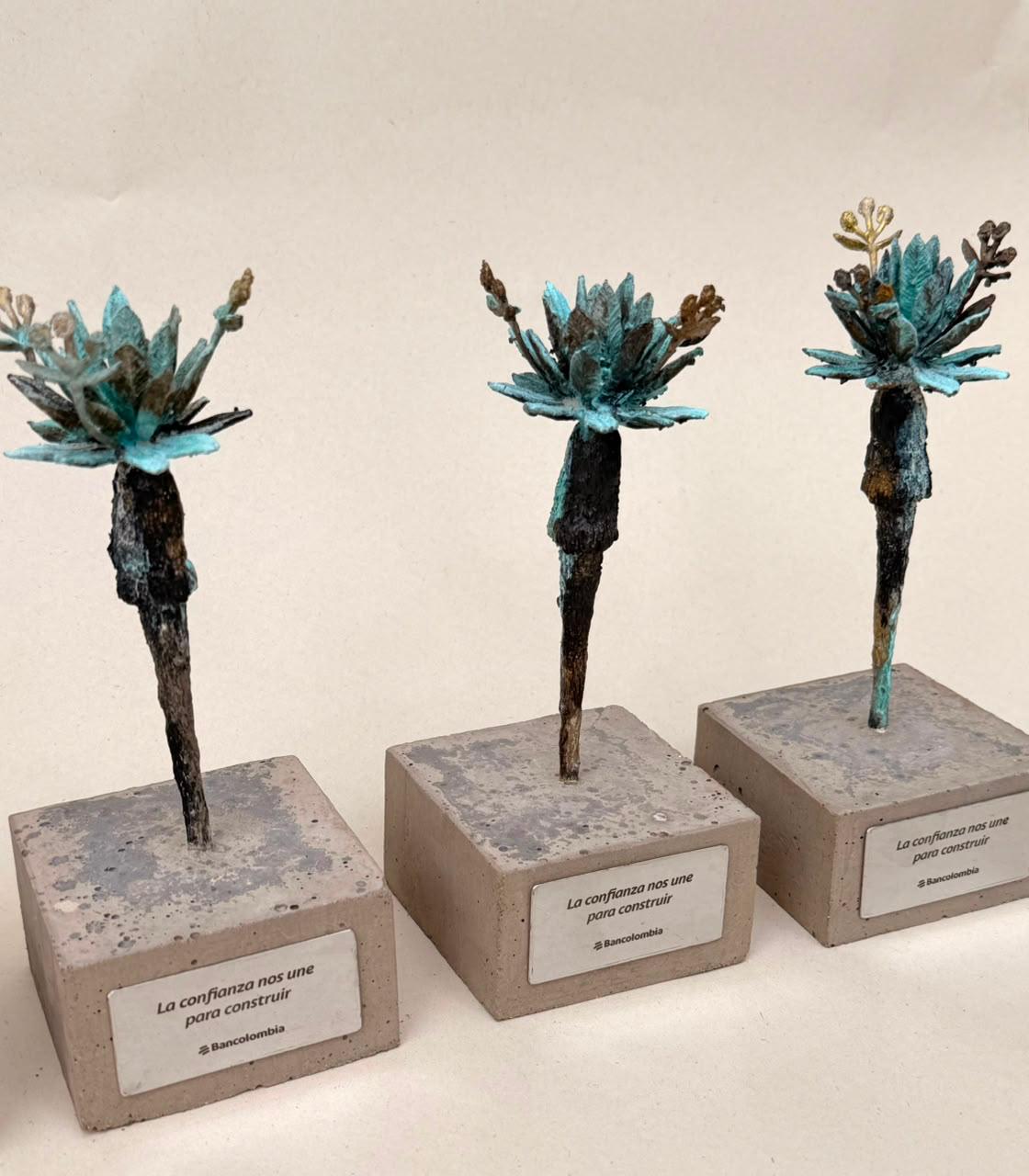Obra Frailejón mediano con placa