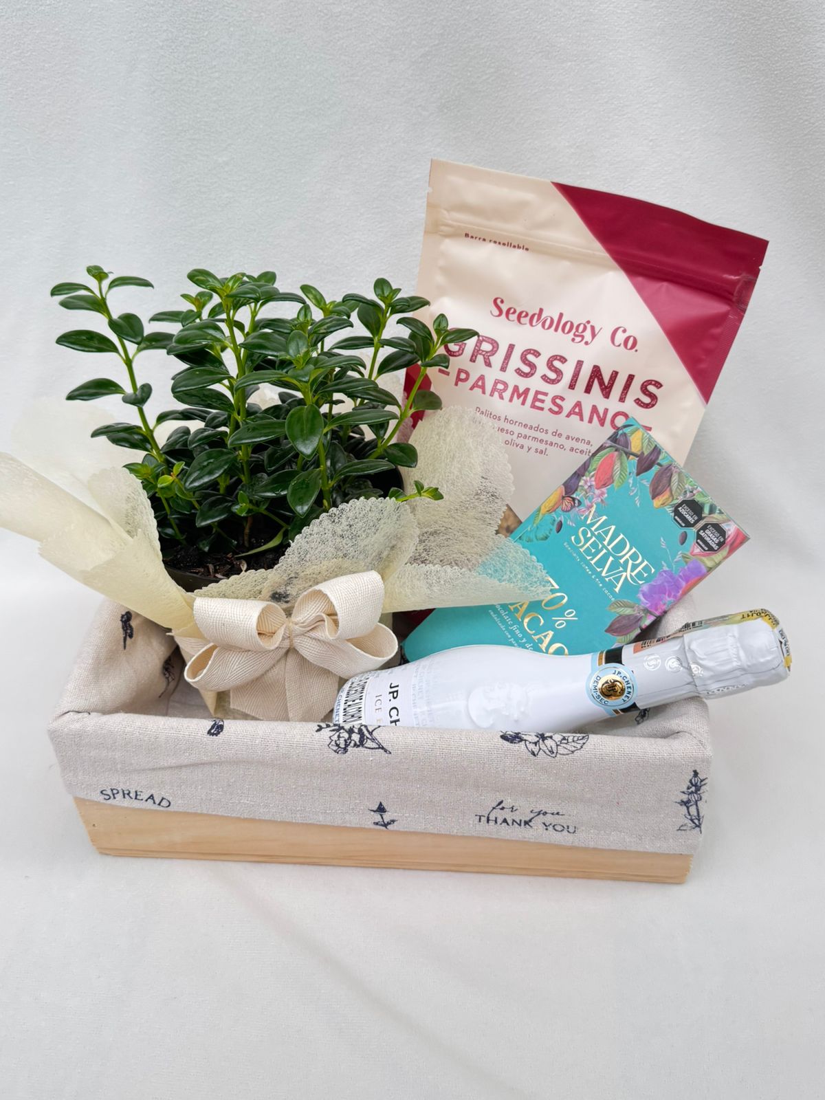 Piba, grisinis, planta y chocolate