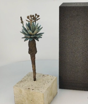 Obra Frailejón mediano con placa
