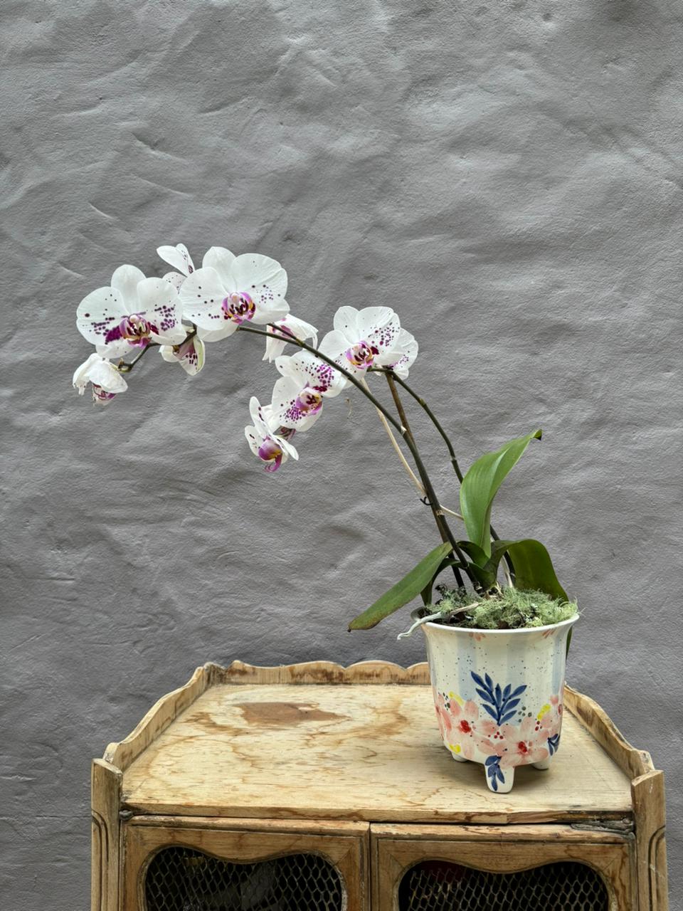  Orquídea & Matera Artesanal | Diseño Local y Solidario
